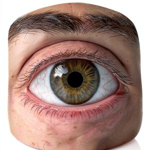 Medical Mysteries Eye Problems Kindle eBook by Author Name-0