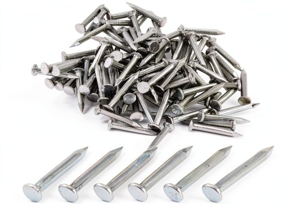Hordion 100pcs Hardware Nails 0.79in Carbon Steel Masonry for Concrete-2