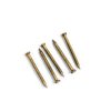 Everbilt Brown Paneling Nail for Wood Studs, Ring Shank 1in Pack of 40-5