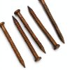 Everbilt Brown Paneling Nail for Wood Studs, Ring Shank 1in Pack of 40-0